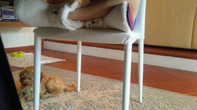 20181110_144824_Burst01~2